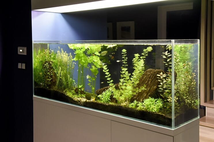 Idei de configurare de 40 de galoane