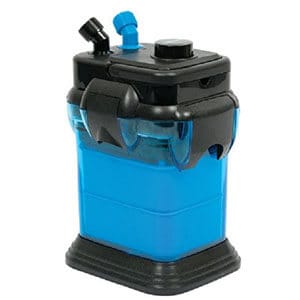 Cel mai bun filtru pentru acvariu pentru peștele tău auriu