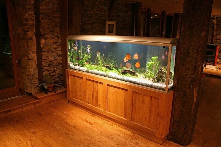 Sterilizator UV Discus Tank