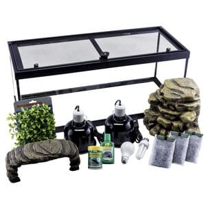 Cel mai bun kit de start pentru țestoase 