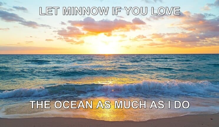 Lasă-l pe Minnow