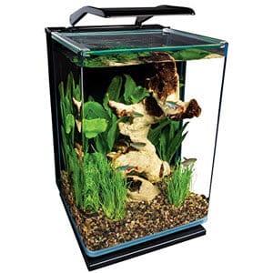 Mic acvariu ideal pentru Paludarium de blat
